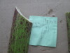 Thumbnail IMG_3131.JPG 