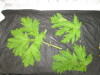 Thumbnail IMG_3136.JPG 