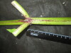 Thumbnail IMG_3138.JPG 