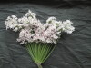 Thumbnail IMG_3140.JPG 