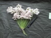 Thumbnail IMG_3141.JPG 