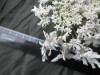 Thumbnail IMG_3143.JPG 