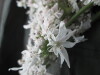 Thumbnail IMG_3148.JPG 