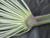 Thumbnail IMG_3152.JPG 