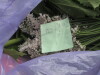 Thumbnail IMG_3160.JPG 
