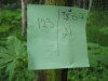 Thumbnail IMG_8261.JPG 