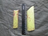 Thumbnail IMG_3044.JPG 