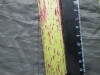 Thumbnail IMG_3046.JPG 