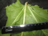 Thumbnail IMG_3051.JPG 
