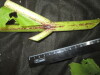 Thumbnail IMG_3053.JPG 