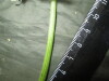 Thumbnail IMG_3061.JPG 