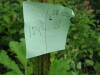 Thumbnail IMG_8281.JPG 
