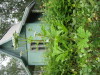 Thumbnail IMG_8283.JPG 