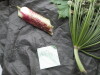 Thumbnail IMG_3100.JPG 
