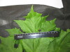 Thumbnail IMG_3108.JPG 