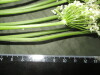 Thumbnail IMG_3114.JPG 