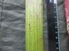Thumbnail IMG_3125.JPG 