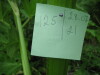 Thumbnail IMG_8303.JPG 