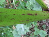 Thumbnail IMG_8314.JPG 