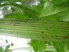 Thumbnail IMG_8316.JPG 