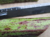 Thumbnail IMG_3065.JPG 