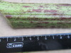 Thumbnail IMG_3066.JPG 