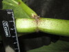 Thumbnail IMG_3079.JPG 