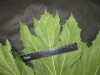 Thumbnail IMG_3081.JPG 