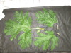 Thumbnail IMG_3087.JPG 