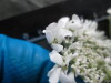 Thumbnail IMG_3094.JPG 