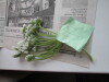 Thumbnail IMG_3098.JPG 