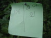 Thumbnail IMG_8320.JPG 