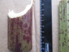 Thumbnail IMG_3397.JPG 