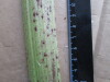 Thumbnail IMG_3399.JPG 
