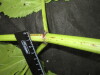 Thumbnail IMG_3402.JPG 