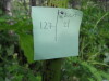 Thumbnail IMG_8341.JPG 