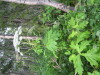 Thumbnail IMG_8344.JPG 