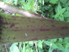 Thumbnail IMG_8351.JPG 