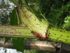 Thumbnail IMG_8354.JPG 