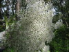 Thumbnail IMG_8357.JPG 