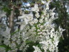 Thumbnail IMG_8358.JPG 