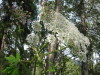 Thumbnail IMG_8360.JPG 