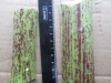 Thumbnail IMG_3525.JPG 