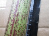 Thumbnail IMG_3528.JPG 