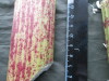 Thumbnail IMG_3540.JPG 