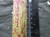 Thumbnail IMG_3542.JPG 