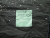 Thumbnail IMG_3543.JPG 
