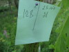 Thumbnail IMG_8361.JPG 