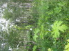Thumbnail IMG_8363.JPG 
