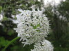 Thumbnail IMG_8376.JPG 